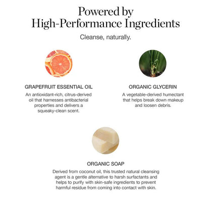 Brush Cleanser